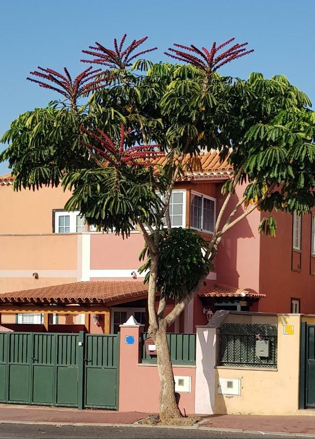 Rosas By Villas Rinamar Las Rosas  外观 照片