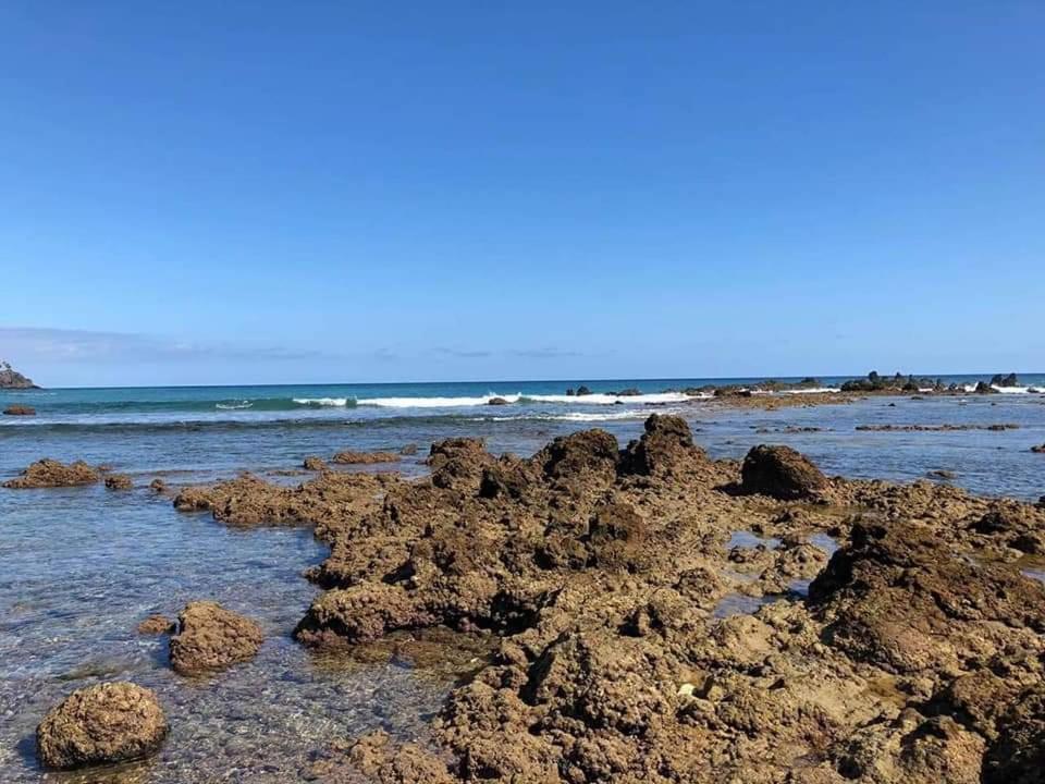 Rosas By Villas Rinamar Las Rosas  外观 照片